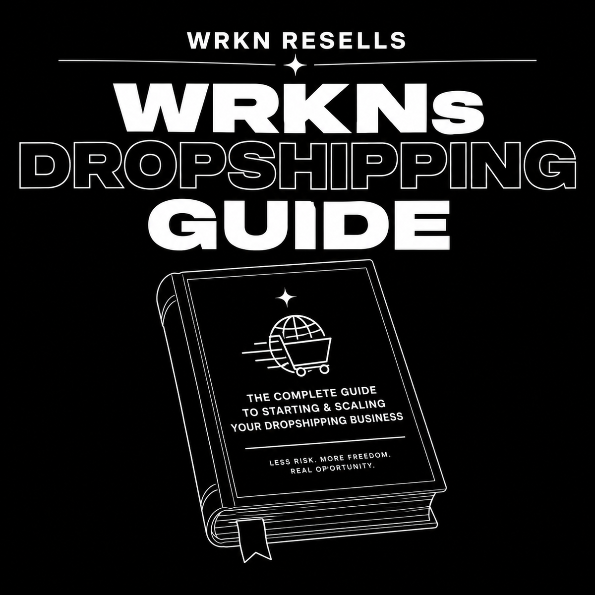 DropShipping Guide